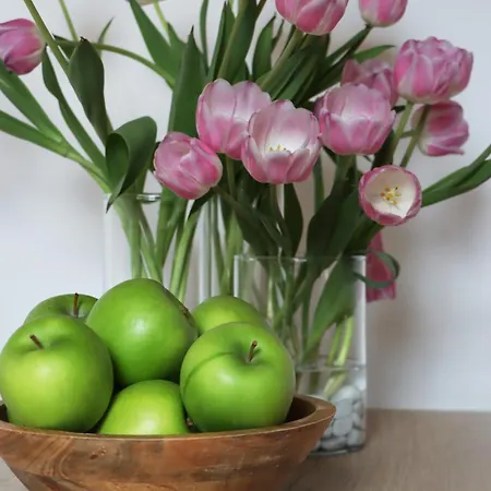 Bed & Breakfast La Loggia Ferentino